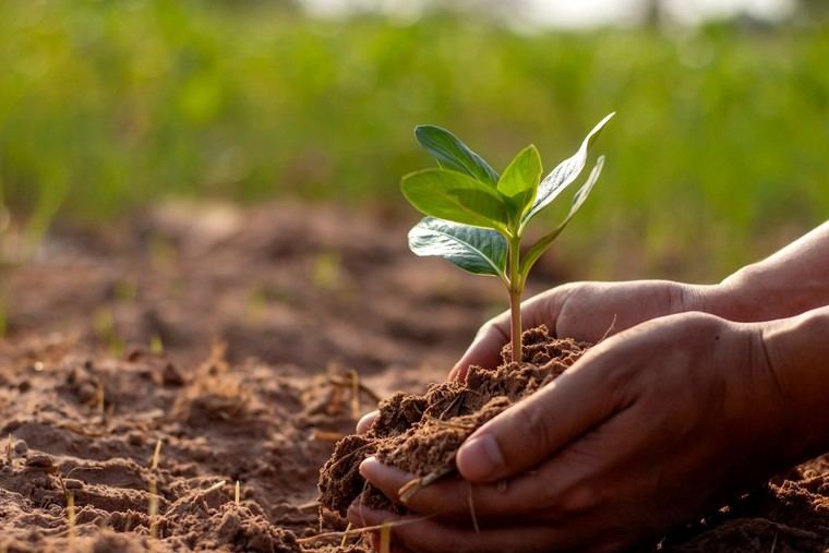 Agenda 2030 lanza subvenciones de 16,6 millones para proyectos sostenibles
