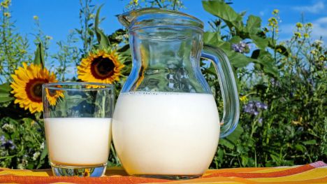 Un componente de la grasa láctea podría ayudar a prevenir el deterioro cognitivo leve asociado al envejecimiento
