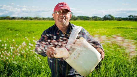 Ante la crisis: Más de 139.000 agricultores recibirán una ayuda extraordinaria del Estado