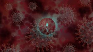 Alerta: El virus del COVID-19 puede permanecer en los espermatozoides hasta 110 días