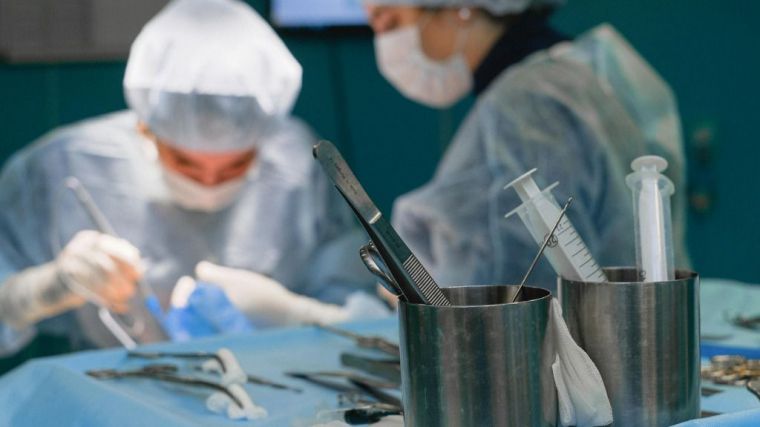 España registra el máximo histórico de trasplantes de médula ósea en 2023