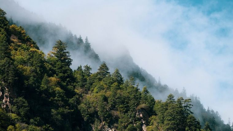 El turismo rural se dispara hasta alcanzar ocupaciones del 80% en agosto, superando el verano de 2023