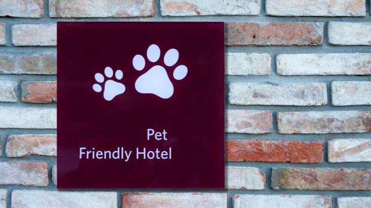 El pet-boom en España: un aumento significativo de adopciones y mascotas tras la pandemia