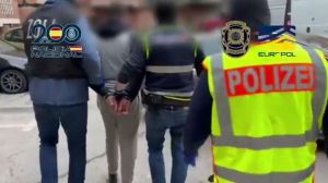 Cae la organización criminal de los 