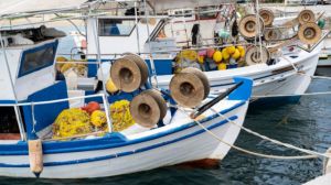 Motor y timón: recomendaciones sobre coches y barcos que debes conocer