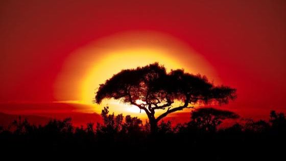 Temperaturas globales alcanzarán niveles históricos entre 2025 y 2029