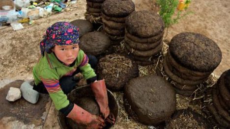 Trabajo infantil persiste: 138 millones de niños aún laboran en el mundo
