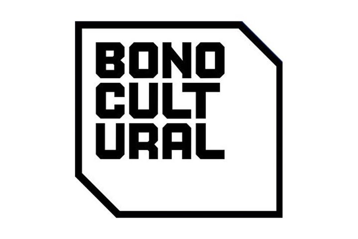 Jóvenes de 2007 pueden solicitar el Bono Cultural Joven 2025