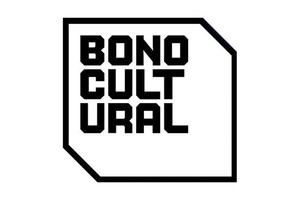 Jóvenes de 2007 pueden solicitar el Bono Cultural Joven 2025