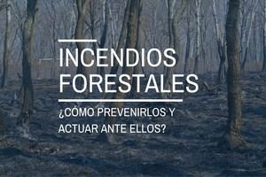 Consejos para prevenir y actuar ante incendios forestales en verano