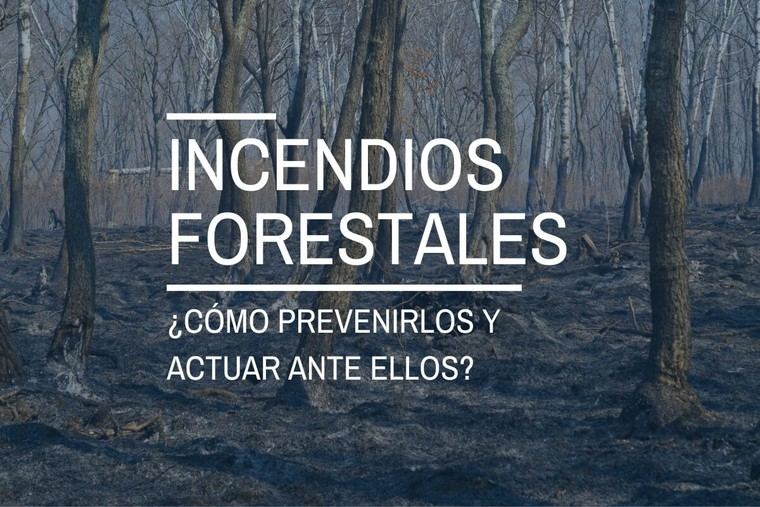 Consejos para prevenir y actuar ante incendios forestales en verano