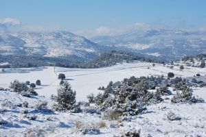 Preparativos del Ministerio de Transportes ante nevadas en Aragón y Cataluña