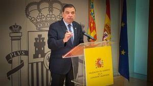 Gobierno impulsa recuperación de explotaciones agrícolas en Valencia tras la DANA