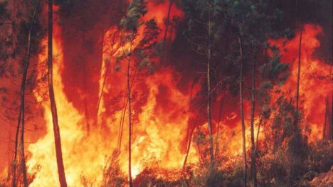 La urbanización y el cambio climático impulsan los incendios forestales del Sur de Europa