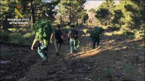 La Guardia Civil detiene a una persona que estaba siendo buscada por la policía francesa por un asesinato