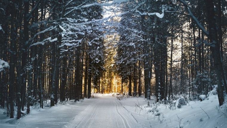 Consejos para 'sobrevivir' a una nevada