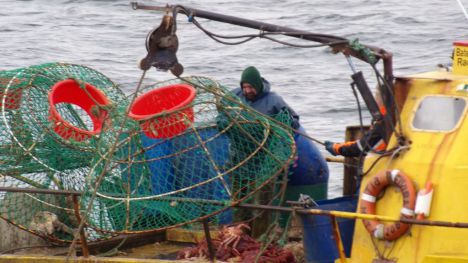 El Ministerio de Agricultura y Pesca, Alimentación y Medio Ambiente traslada un mensaje de tranquilidad al sector sobre el acuerdo de pesca UE-Marruecos