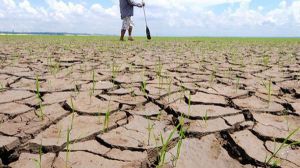 El gasto estatal en lucha contra el cambio climático cae en picado