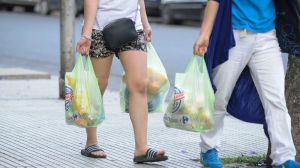 Las bolsas se cobran a partir de julio