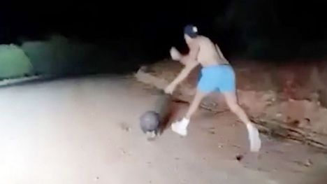 Un policía se graba matando a pedradas a un wombat