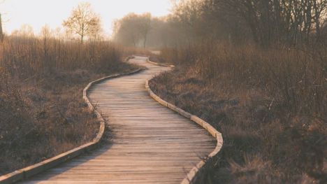 La vida te lleva por caminos raros