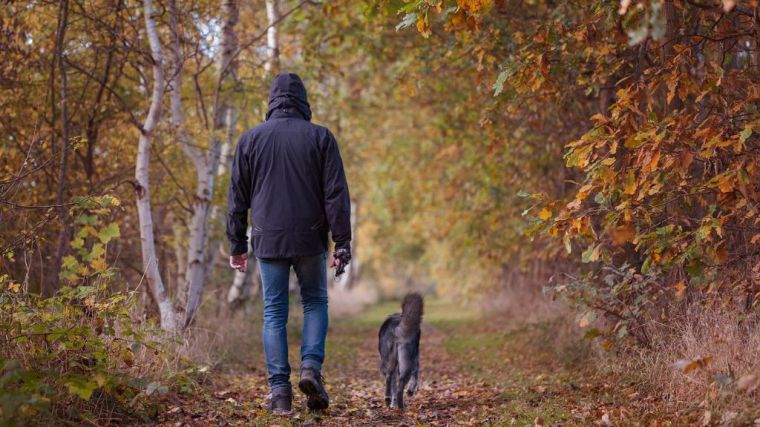 Localizado tras alquilar a sus perros para sacarlos a pasear durante el Estado de Alarma