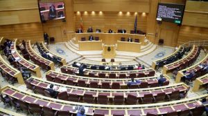 El Gobierno ante la 