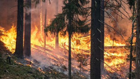 Los incendios queman un 45% menos hasta mayo en España respecto a la última década