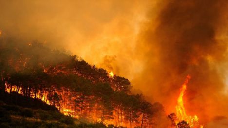 Alerta: un nuevo verano de incendios en varias regiones del planeta agudizará la emergencia climática