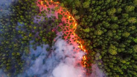 Los incendios forestales se ceban con Siberia