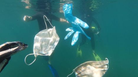 El Covid-19 también afecta al Medio Ambiente