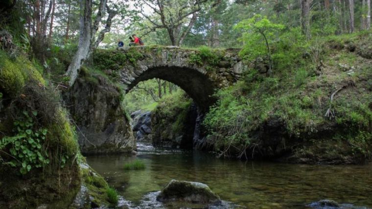 Ecologistas en Acción solicita la expropiación del Pinar de los Belgas por estos motivos