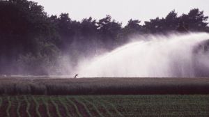 Una oportunidad perdida para garantizar la transición hacia la agroecología y salvar el medio rural