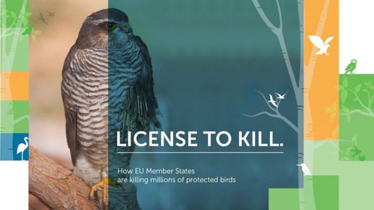 Los Estados Miembros de la UE son responsables de la muerte de más de 14 millones de aves