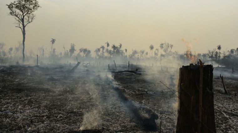 Parar la brutal deforestación de la Amazonia es fundamental para regular el sistema climático global