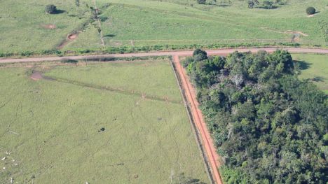 Nuevos hallazgos en la selva Amazónica apuntan a que la deforestación es un fenómeno actual