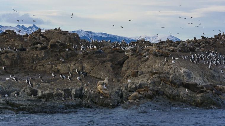 Canal Beagle: Argentina y Chile avanzan en el estudio del cambio climático