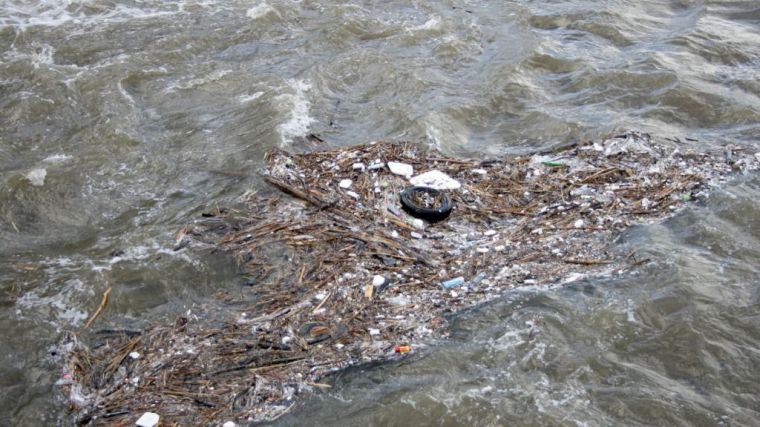 Una grave problemática medioambiental de la que apenas se habla