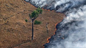 Junio deja el mayor número de alertas de fuego en la Amazonía desde 2007