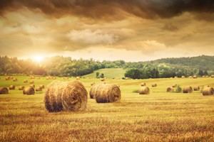 El Gobierno destina 20 millones de euros para apoyar créditos a jóvenes agricultores y pescadores