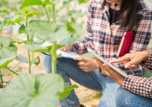 Aprobadas ayudas por casi 40 millones para proyectos agrarios en España