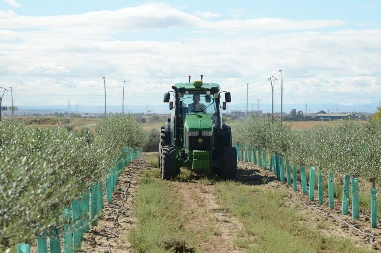 Ayudas de 9,7 millones para renovar maquinaria agrícola dañada por la dana