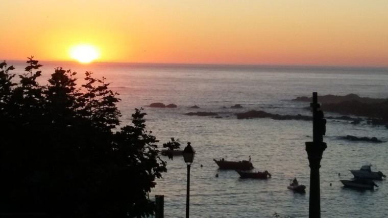 Se abre la pesca de caballa para buques de artes menores en Asturias y Lugo