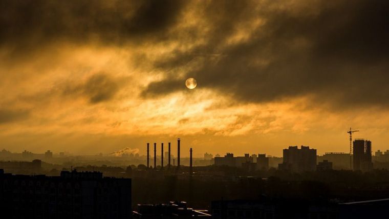 El GTM subraya la necesidad de preservar el medioambiente para evitar pandemias