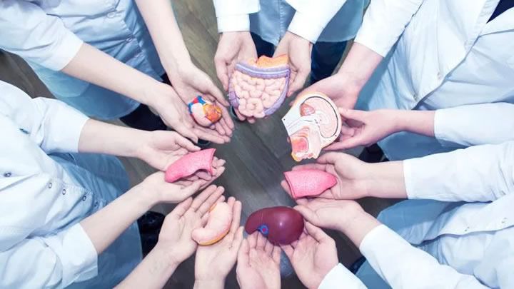 España es líder mundial en donación de órganos
