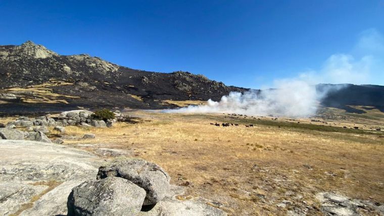 WWF se pronuncia sobre la declaración de 'Zona catastrófica por incendios forestales'