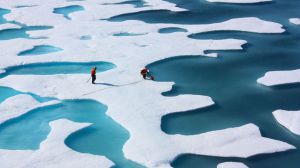 Cambio Climático: Récord de temperatura de 38º en el Ártico