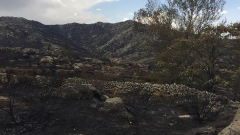 ASAJA logra que se levante el acotamiento de pastos tras el incendio forestal de Navalacruz