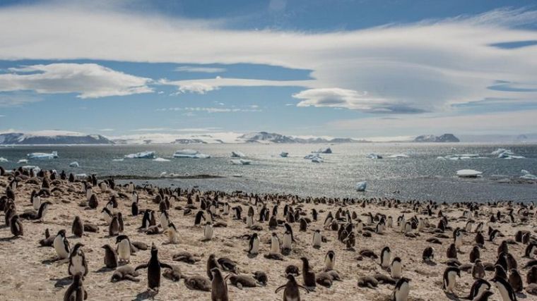 Un 'refugio climático' en el remoto mar de Weddell