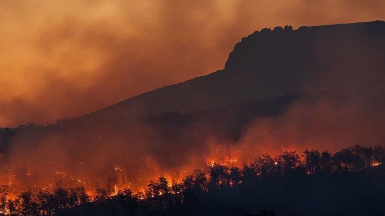 Los incendios forestales aumentarán un 30% para 2050